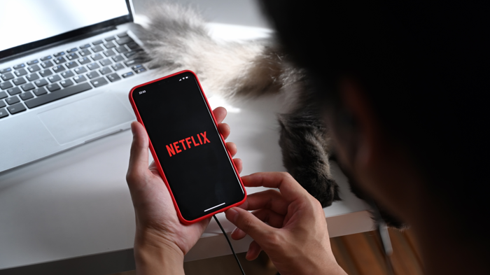 Free Netflix access on Smartflix