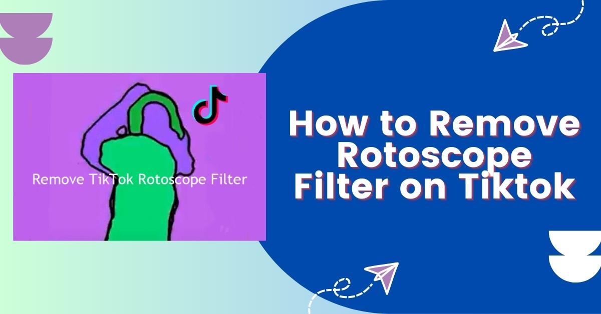 How to Remove Rotoscope Filter on Tiktok