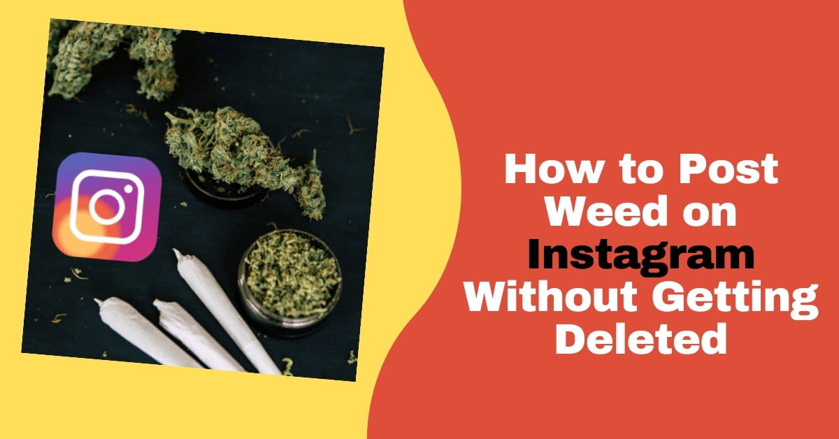 How to Post Weed on Instagram Without Getting Deleted