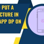 How to Put a Full Picture in WhatsApp DP on iPhone